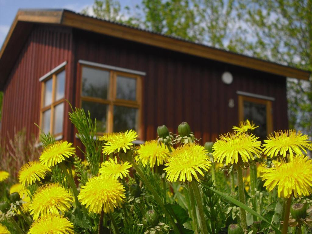Guesthouse Petursborg アークレイリ 部屋 写真