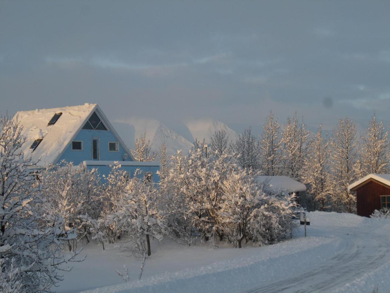 Guesthouse Petursborg アークレイリ エクステリア 写真