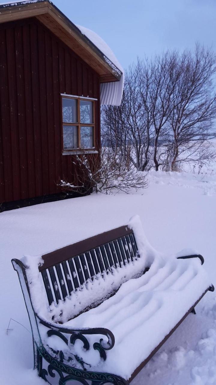 Guesthouse Petursborg アークレイリ エクステリア 写真